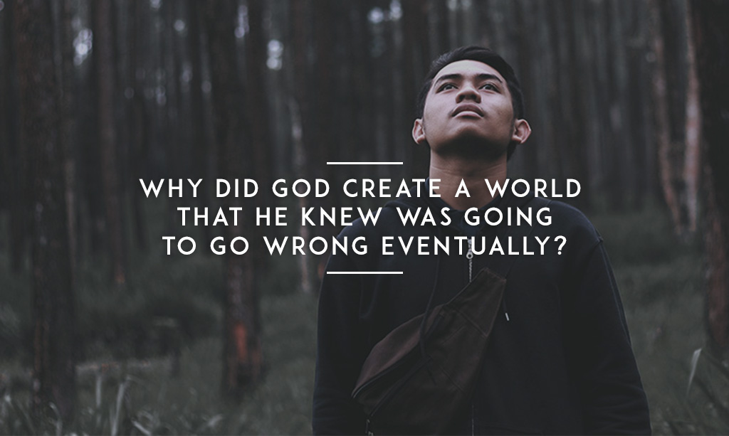 why-did-god-create-a-world-that-he-knew-was-going-to-go-wrong-eventually