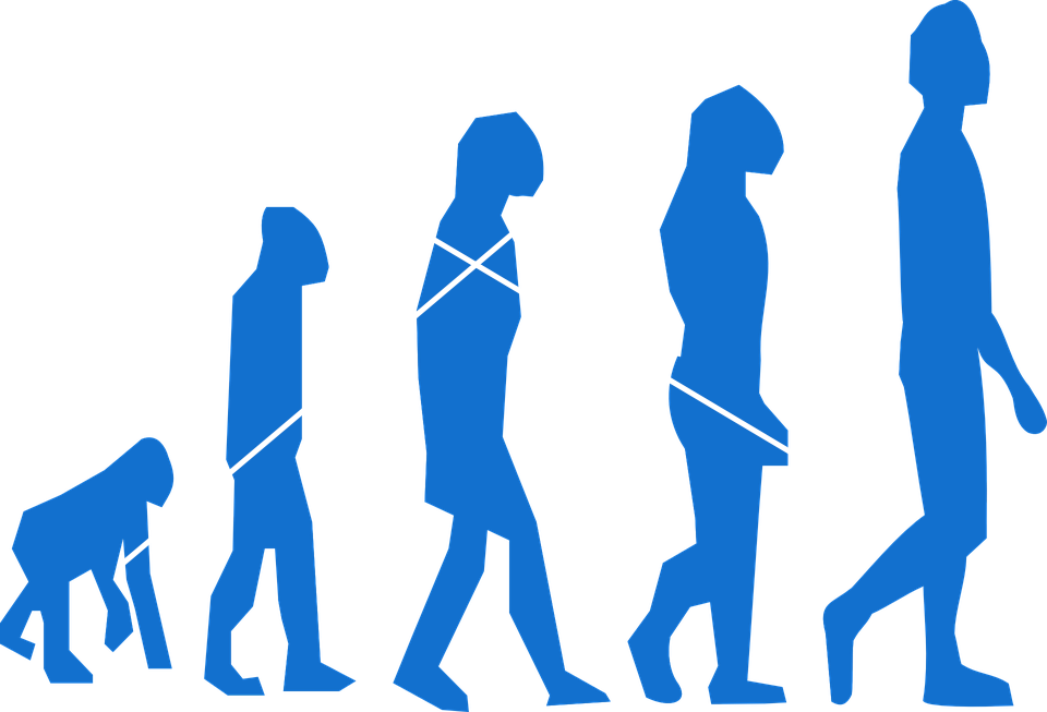evolution-296400_960_720