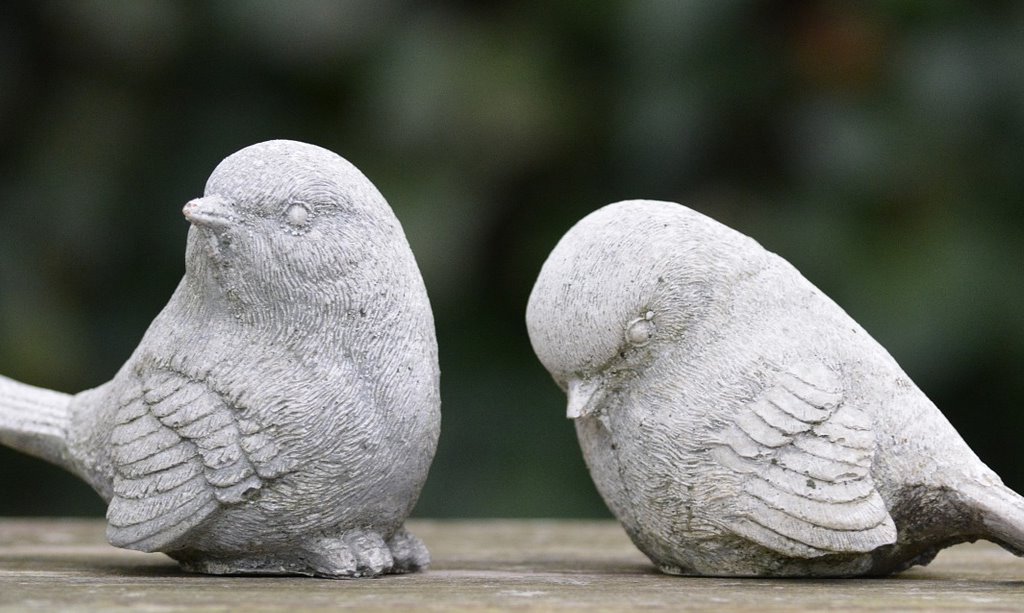 birds-276191_1280