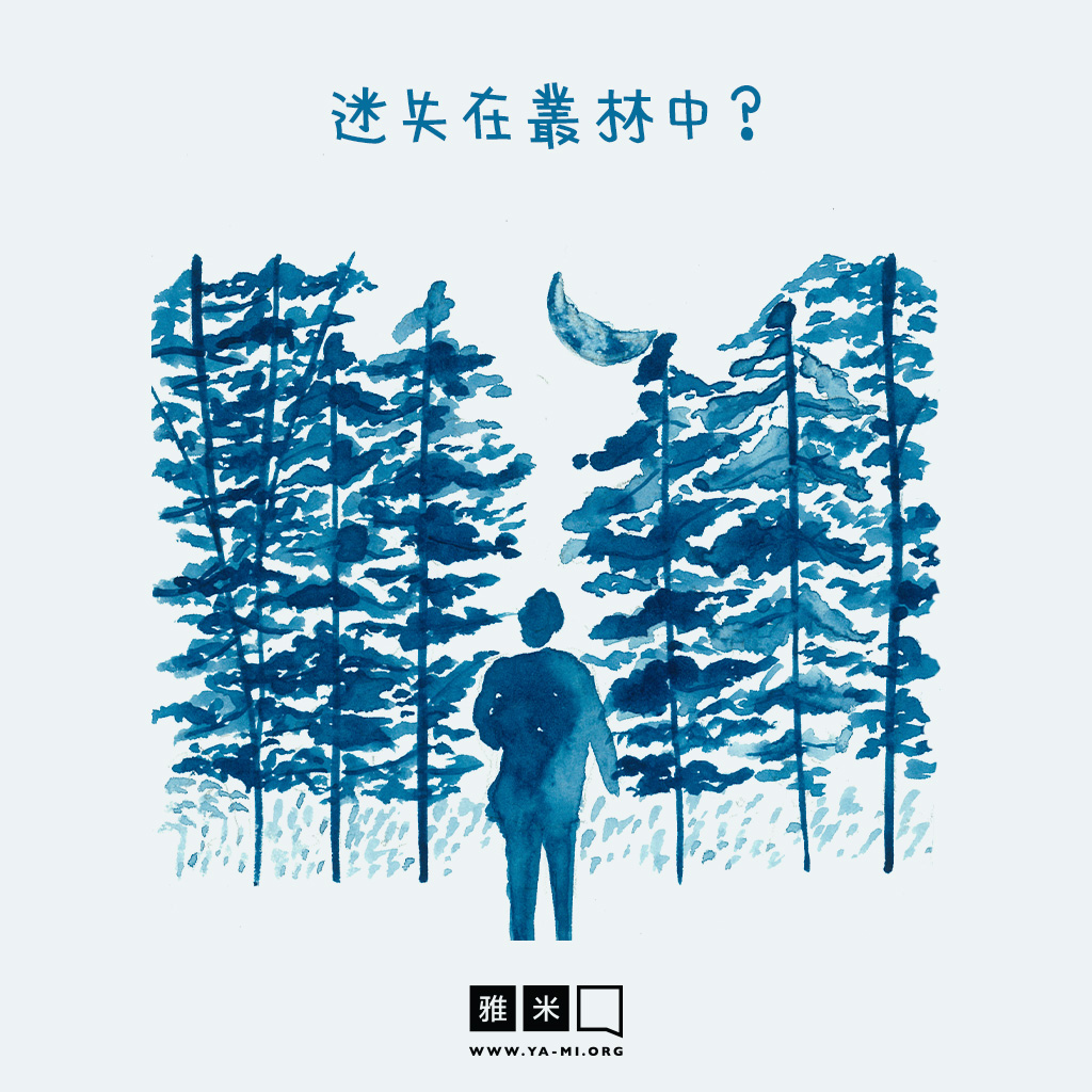 03-The-Journey(TC)