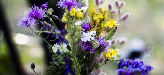 靈命補給 雅米 Page 485